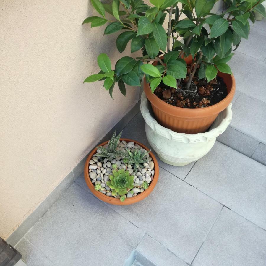 Apartments Luka Rab Town Ngoại thất bức ảnh
